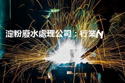 淀粉廢水處理公司：行業(yè)領(lǐng)袖巴洛仕的環(huán)保新篇章？